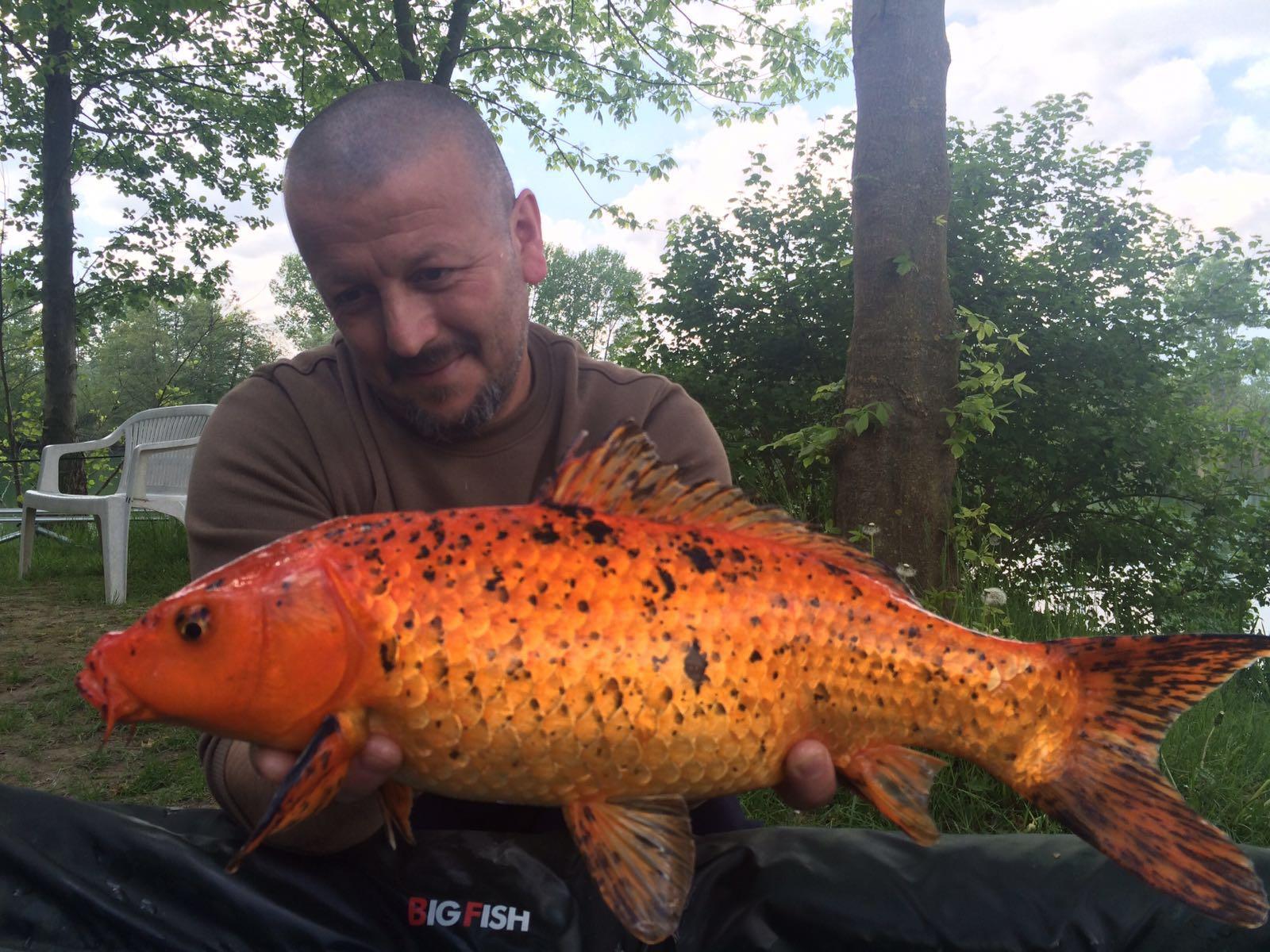 Lago Boschetto 26 - 27 aprilie 2016 - img-20160426-wa0020.jpg